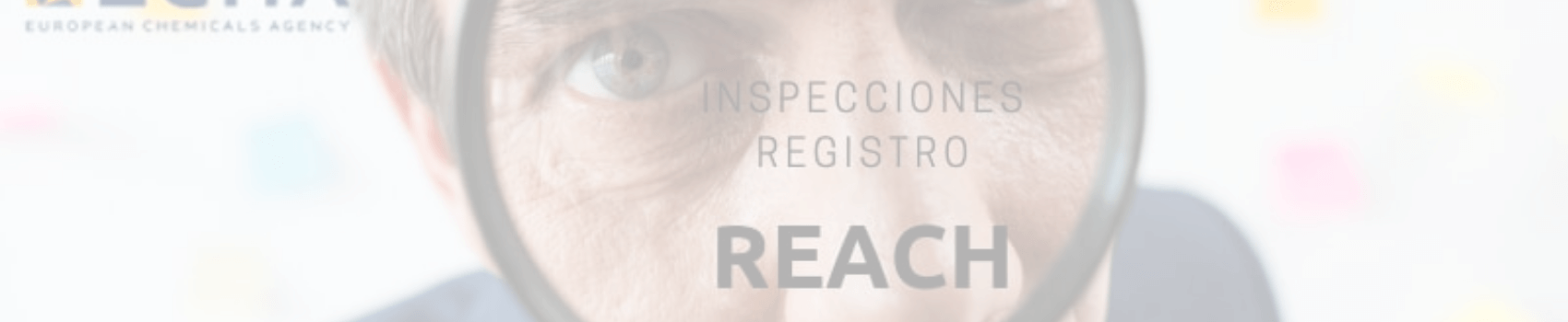 Inspecciones registro REACH