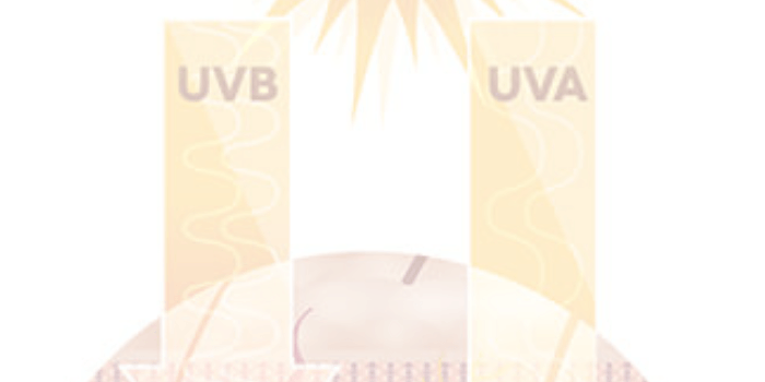 Filtros UV biodegradables