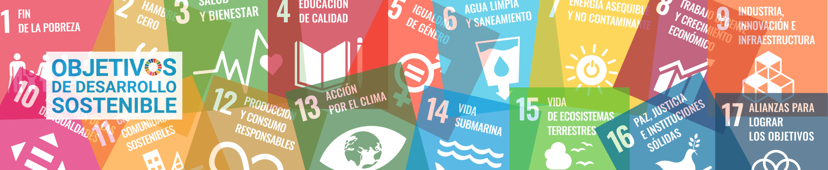 ODS: La hoja de ruta hacia la sostenibilidad 1