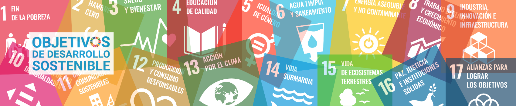 ods-ruta-sostenibilidad (1)
