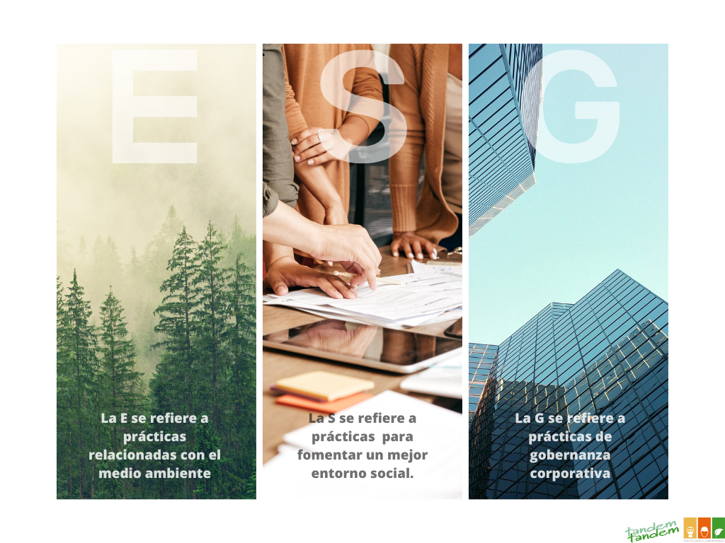 ESG Sustainability Report 1
