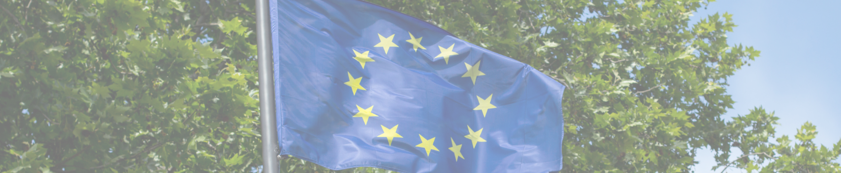 Nuevos cambios en el horizonte para la sostenibilidad corporativa: se incorporan requisitos ESG en la Directiva CSRD