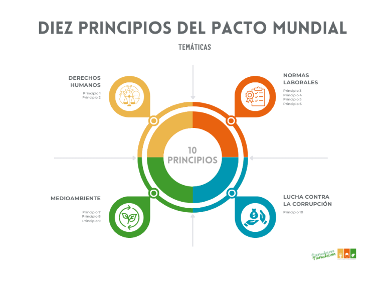 Los 10 Principios del Pacto Mundial de la ONU 1