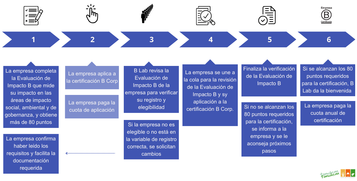 BCORP - PROCESO