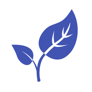 medio ambiente