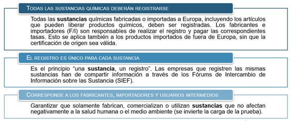 El Reglamento Europeo para el Registro, Evaluación, Autorización y Restricción de Sustancias Químicas (REACH) 1