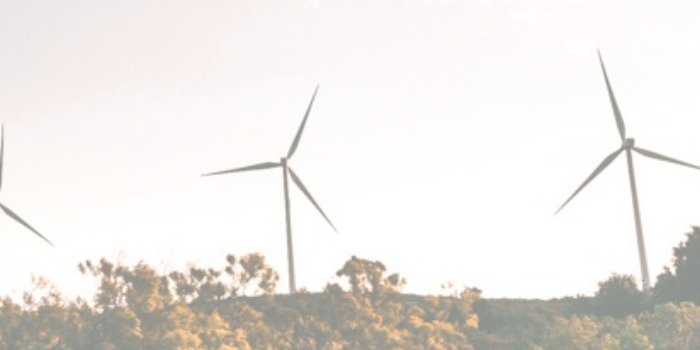 Impulsando la Sostenibilidad Empresarial con los Cupones ACCIÓ Green