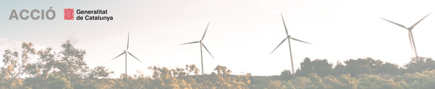 Impulsando la Sostenibilidad Empresarial con los Cupones ACCIÓ Green