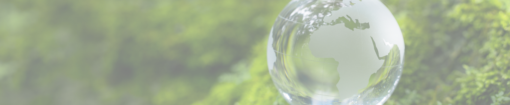 Autorización ambiental: clave para el cumplimiento legal y la sostenibilidad empresarial 1 Autorización ambiental clave para el cumplimiento legal y la sostenibilidad empresarial